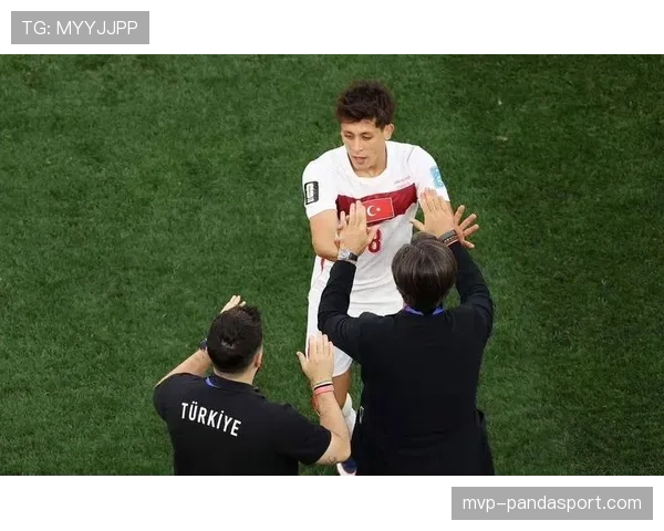 土耳其3-2美国:世界杯D组末轮战报 土耳其3-2美国:世界杯D组末轮战报